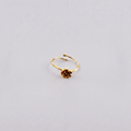 Anello Rosellina