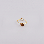 Anello Rosellina