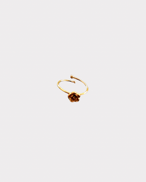 Anello Rosellina