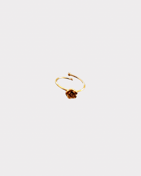 Anello Rosellina